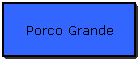 Porco Grande