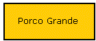 Porco Grande