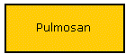 Pulmosan