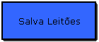 Salva Leit�es