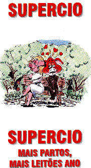 wpe58976.gif (27656 bytes)
