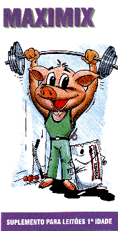 mmix.gif (26654 bytes)